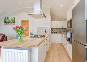 Fridge, oven, stovetop, toaster