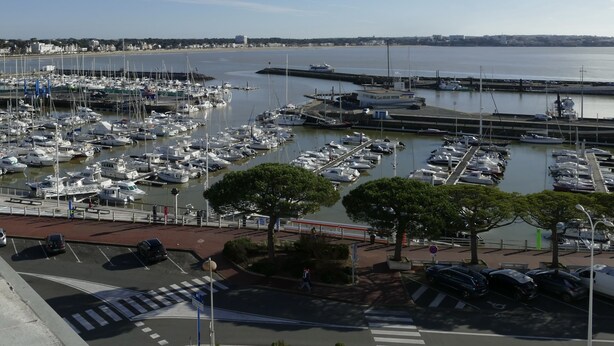 A marina with numerous boats docked, a clear sky, and a distant cityscape.