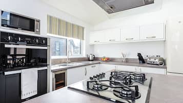 Fridge, oven, stovetop, dishwasher