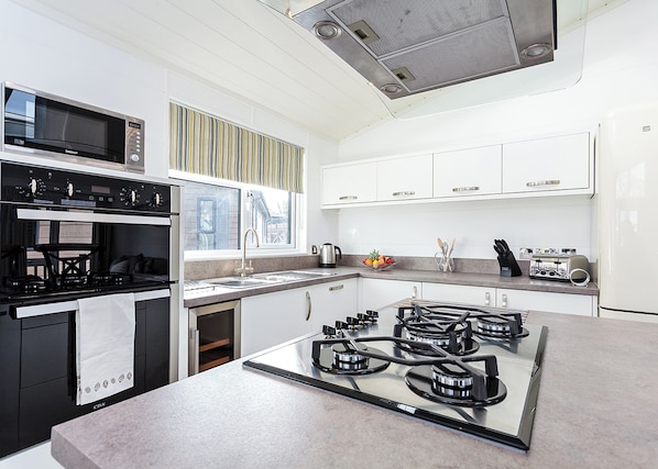 Fridge, oven, stovetop, dishwasher