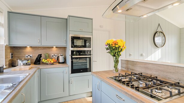 A modern kitchen with grey cabinets, a built-in oven, a gas stove, and a vase with flowers on the counter. - 2 bedroom accommodation in Canterbury (Canterbury)