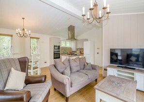 A modern living room with a sofa, a chair, a TV, and a dining table.