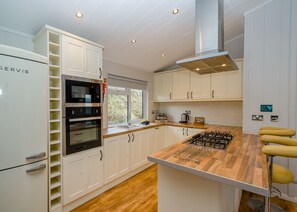 Fridge, oven, stovetop, dishwasher