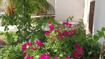บริเวณที่พัก