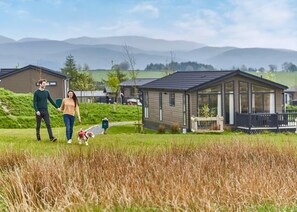 المنطقة المحيطة بالمنشأة