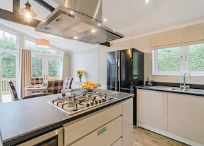 A modern kitchen with a gas stove, stainless steel appliances, and a view of greenery outside.