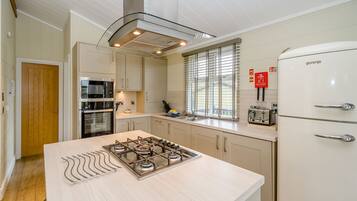 Fridge, oven, stovetop, dishwasher