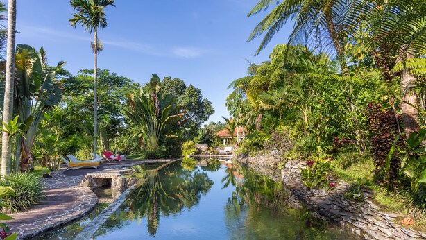 A serene pool area with a stone pathway, lounge chairs, and lush tropical vegetation.