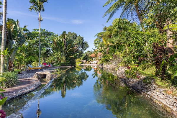 Una piscina al aire libre