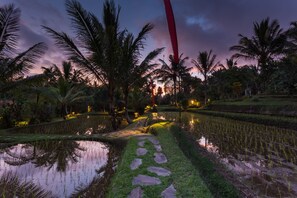 A nighttime view of a rice paddy with a stone path leading through it, surrounded by palm trees and lit by ambient lighting. - Prana Dewi Mountain Resort (Penebel)