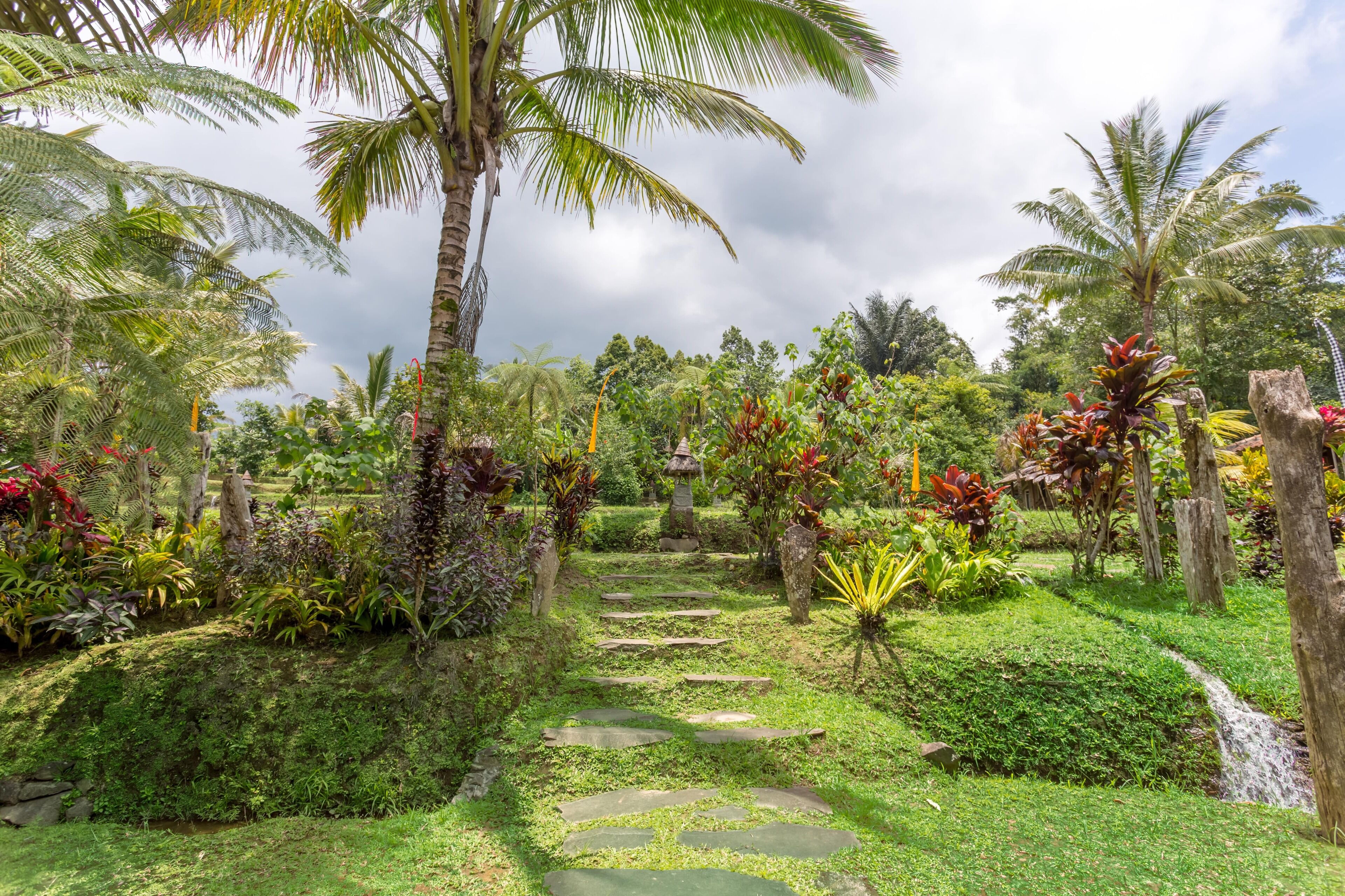 Un sentier de jardin bordé de palmiers et de plantes tropicales.