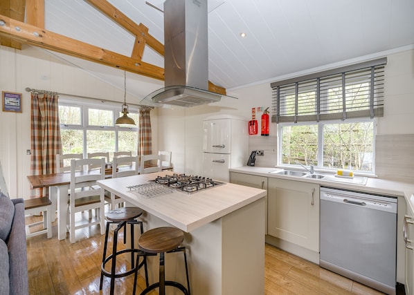 Fridge, oven, stovetop, dishwasher