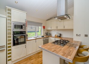 Fridge, oven, stovetop, dishwasher