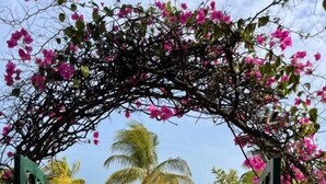Exterior - Adjana Resort (Mbour)