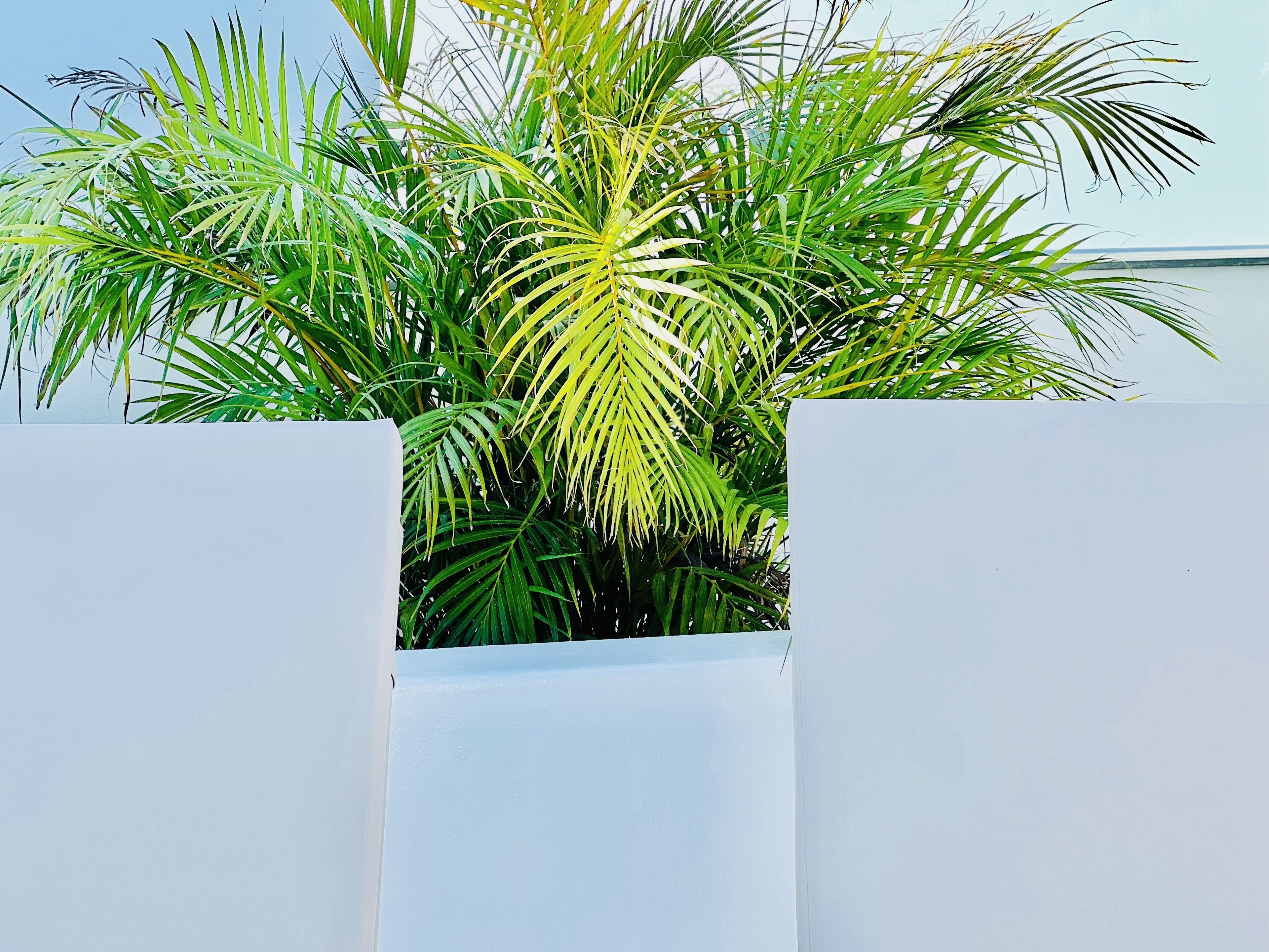 Photo - CIH Apartments