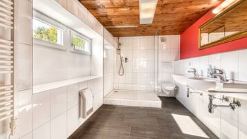 Rumah Standar | Kamar mandi | Shower, pengering rambut, handuk, dan tisu toilet