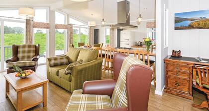 Wainwright Log Burner
