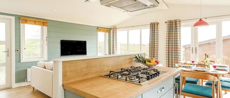 Fridge, oven, stovetop, toaster