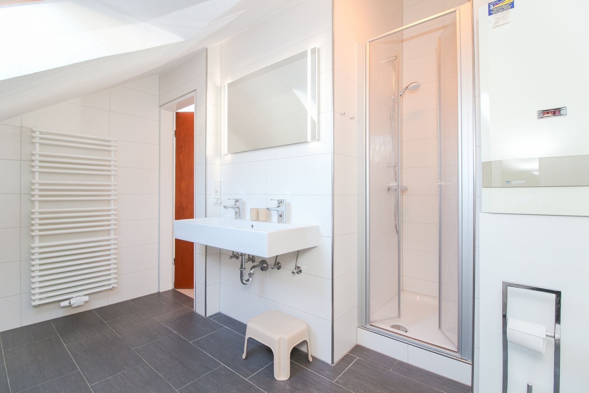Shower, hair dryer