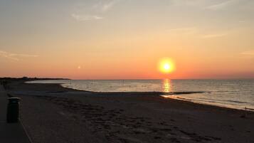 Plage, chaises longues