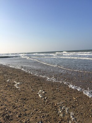Accommodatie ligt op het strand, ligstoelen