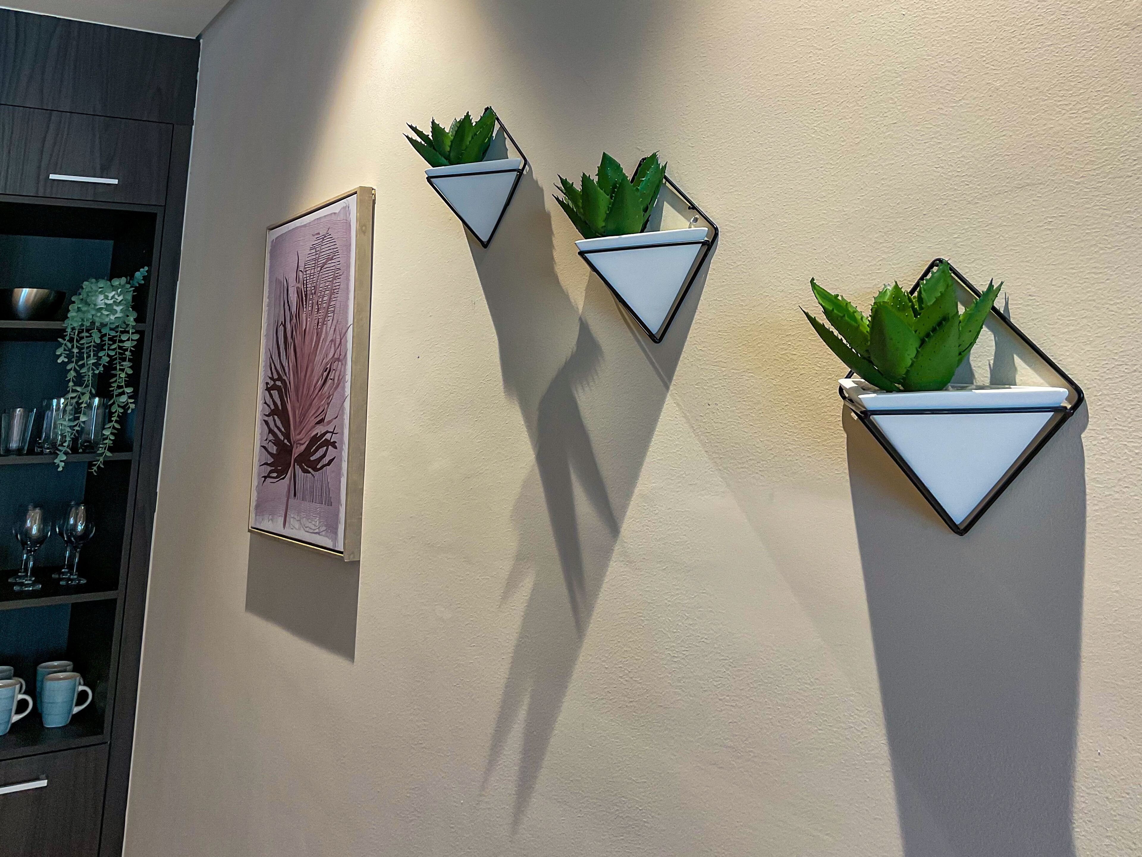 A wall with three triangular planters containing green plants, a framed artwork, and a shelf with glassware.