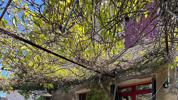 An outdoor patio with a table and chairs, surrounded by stone walls and greenery. - 5-bedroom Provençal Farmhouse on an organic vineyard (Vacqueyras)