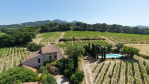 A vineyard with rows of grapevines, a building with a tiled roof, and a swimming pool. - 5-bedroom Provençal Farmhouse on an organic vineyard (Vacqueyras)