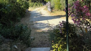 A gravel path leading through a garden with various plants and a metal gate. - 5-bedroom Provençal Farmhouse on an organic vineyard (Vacqueyras)