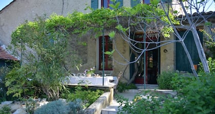 MAS Provencal Entoure DE Vignes