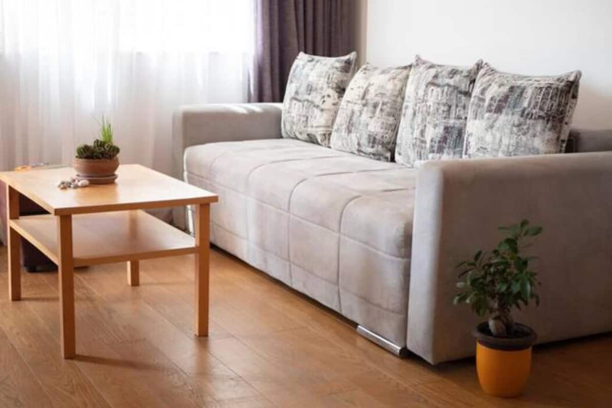 A living room with a sofa, a wooden coffee table, and a potted plant.