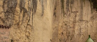 THE TRUFFLE CIR00617900015