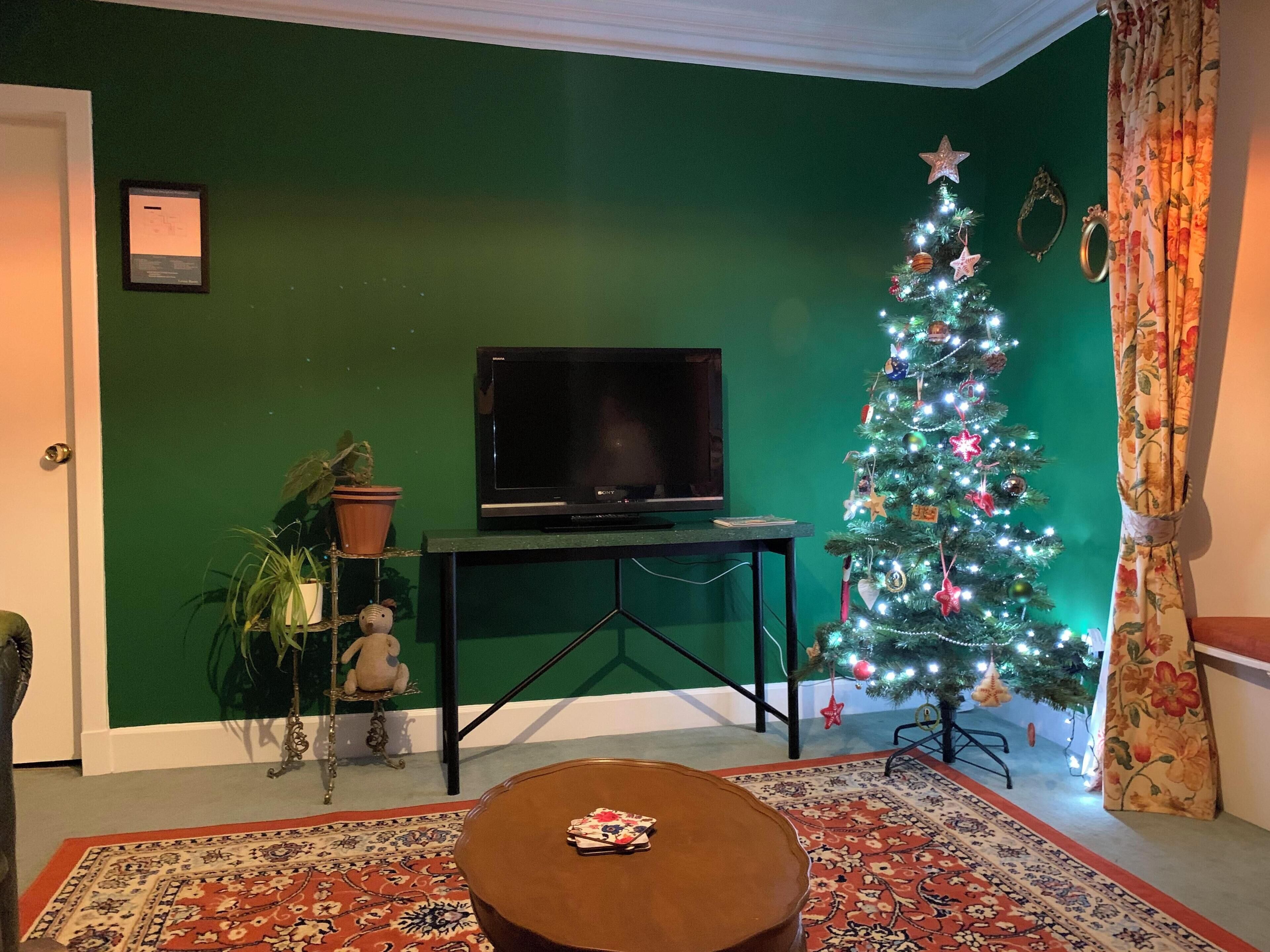 A living room with a green wall, a Christmas tree, a flat-screen TV on a stand, a potted plant, and a patterned rug.