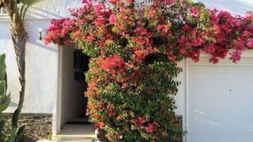 DĂ©tail de lâextĂ©rieur