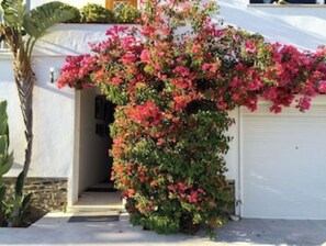 DĂ©tail de lâextĂ©rieur