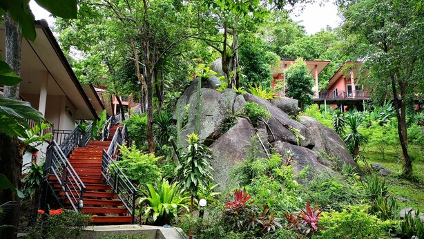 家庭單棟小屋, 2 間臥室, 花園景 | 客房景觀