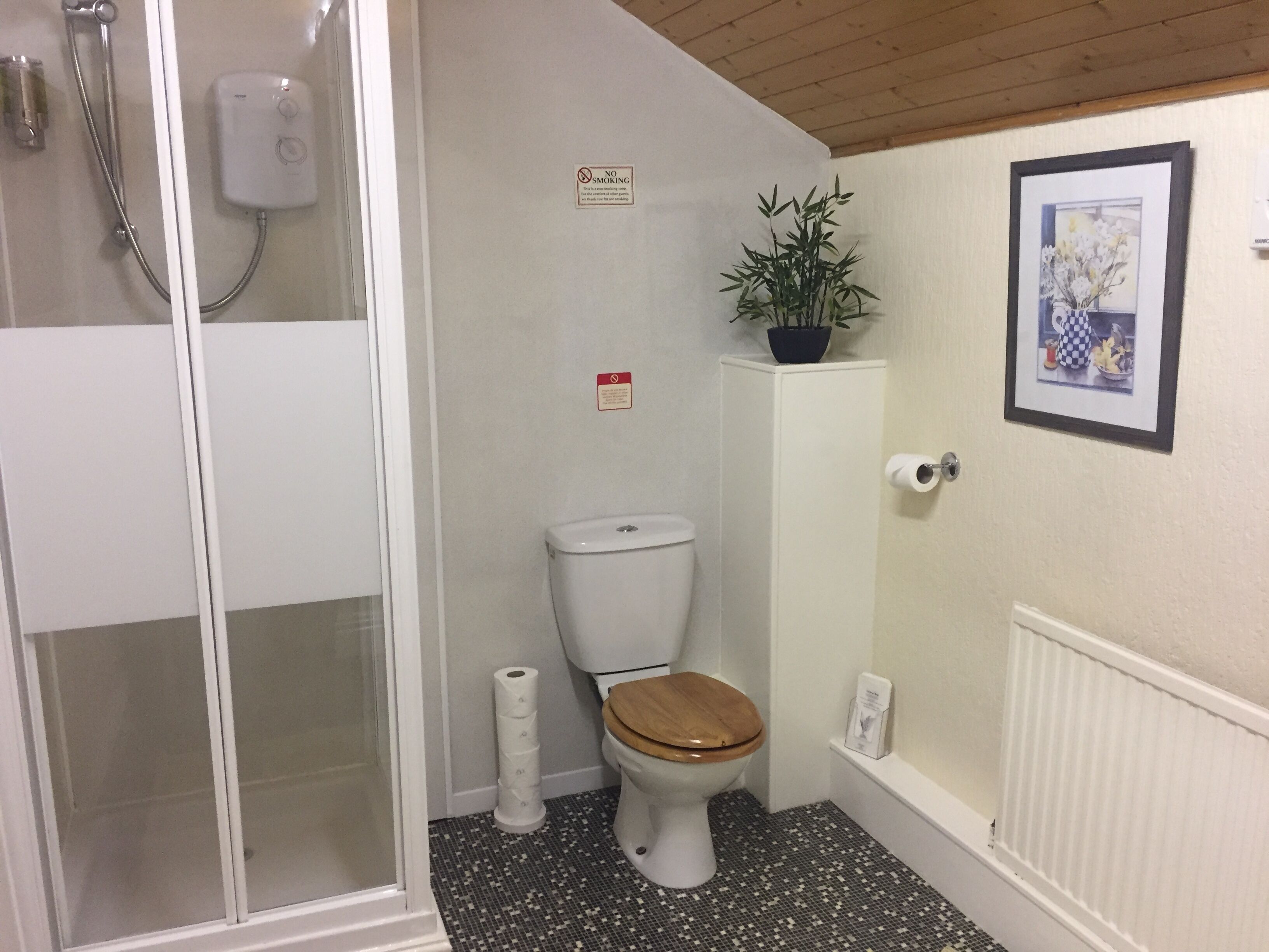 A bathroom with a shower, toilet, and a potted plant on the wall.