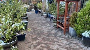 A brick-paved courtyard with potted plants and a wooden pergola. - Cornerways Guest House (Carlisle)