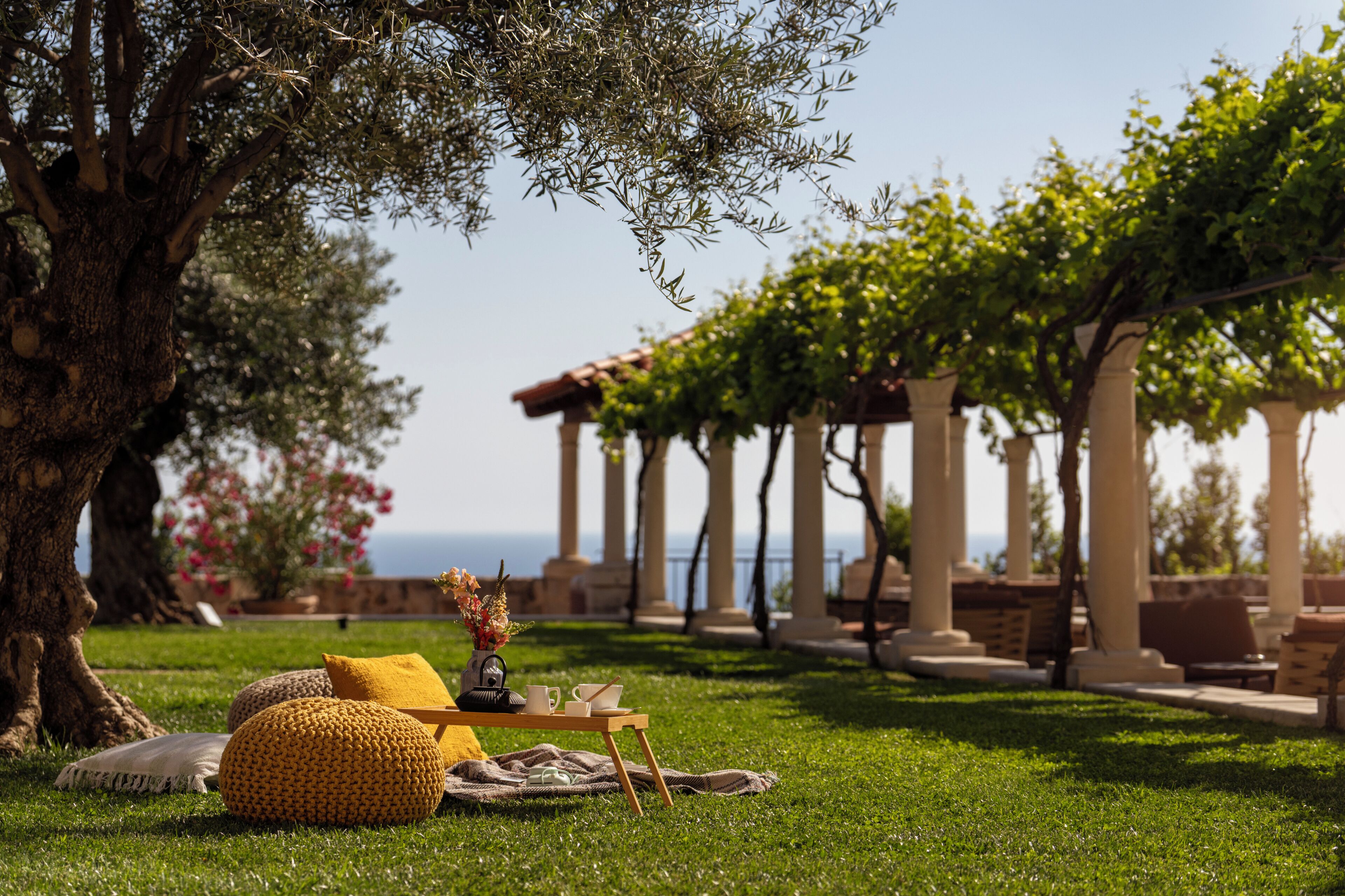 A grassy outdoor area with a picnic setup, a large tree, and a pergola with columns.