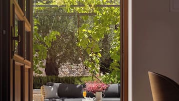 Traditional Room | Terrace/patio