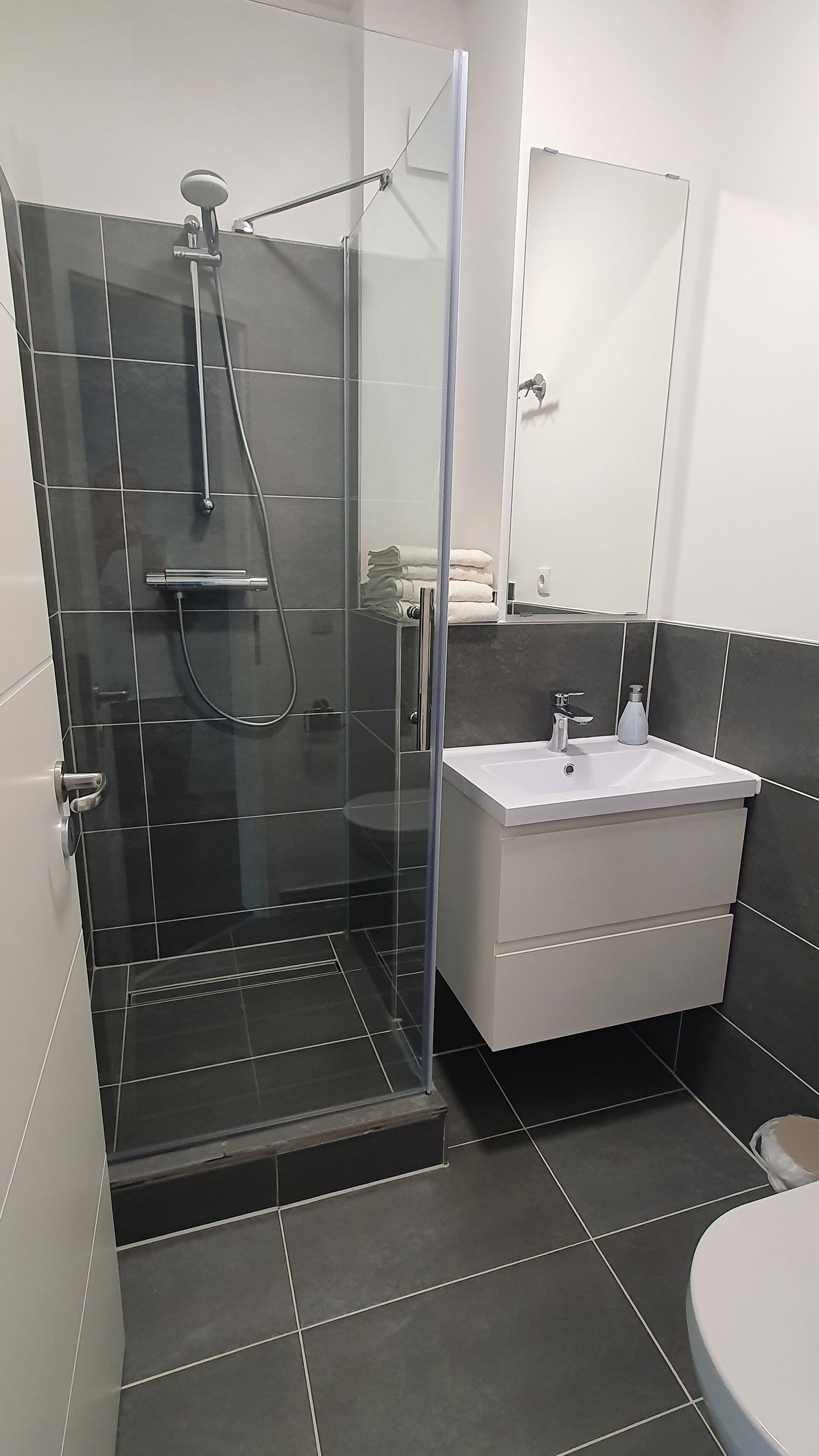 Un baño moderno con ducha de vidrio, lavamanos blanco y un espejo sobre él.