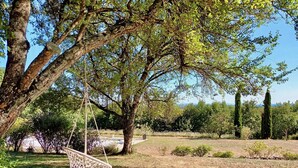 A hammock under a large tree in a grassy area with a clear sky. - Gîte Tranquille Avec Piscine Partagée (Crespin)