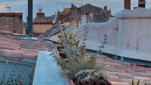A rooftop garden with potted plants and a view of the cityscape. - Rooftop Mirabeau • Private Roof Terrace • A/C • 2 Bedrooms (Aix-en-Provence)