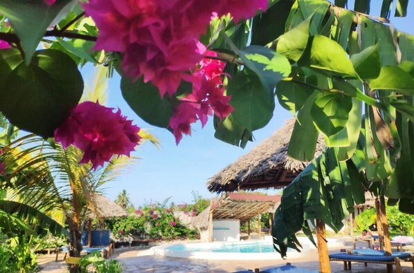 Piscina all'aperto, ombrelloni da piscina, lettini