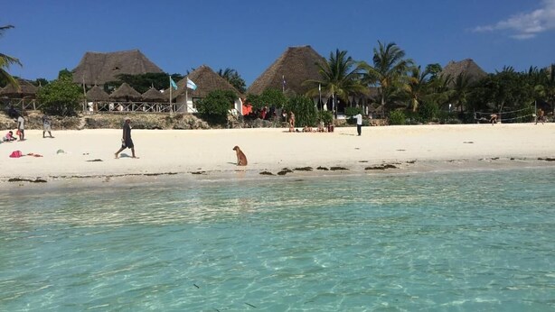 Playa