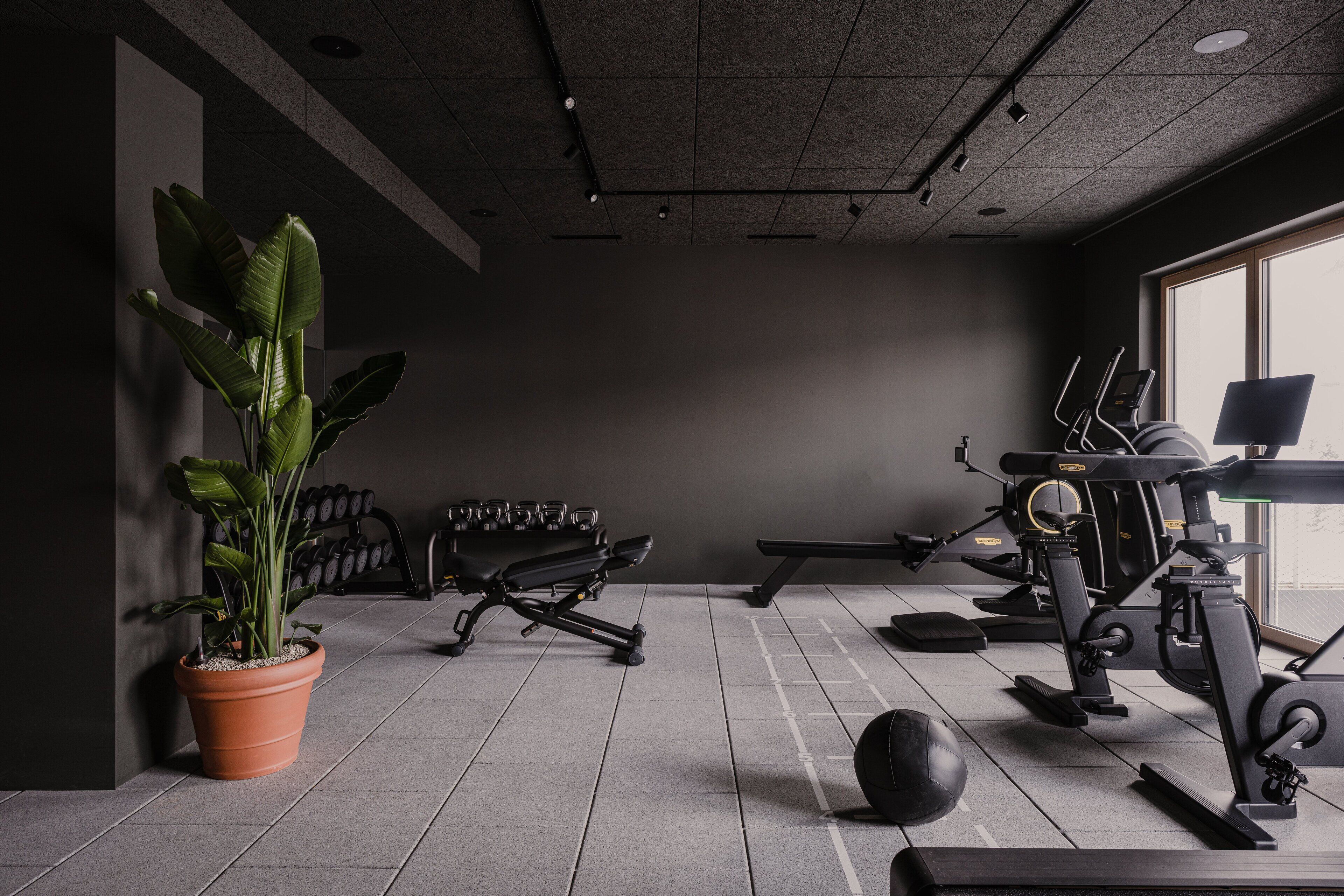 A gym with exercise equipment, a large potted plant, and a bench.