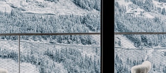 设计酒店会员豪客巴德加斯坦的Comodo