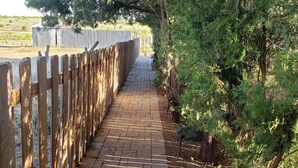 A paved pathway flanked by wooden fences and dense green foliage. - The Aoudad Cabin at Palo Duro  (Canyon)