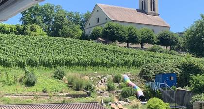 Beautiful, bright vacation apartment with a view of the vineyards and church