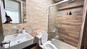 Shower, hair dryer, bidet, towels